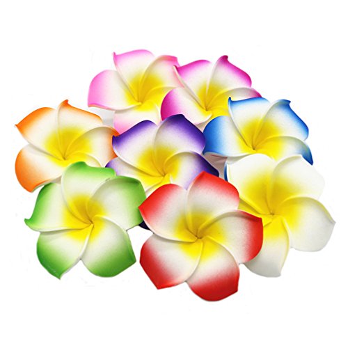 Ewanda Store 100 Pcs Diameter 1.6 Inch Assorted Color Artificial Plumeria Rubra Hawaiian Foam Frangipani Flower Petals For Weddings Party Decoration #TOP19