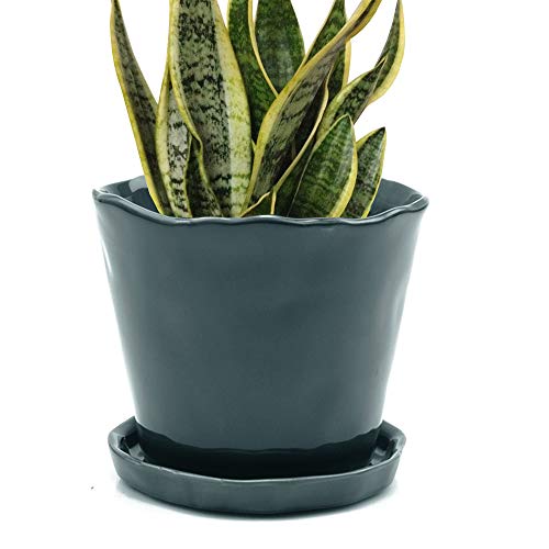 Authentic Crazy Deals Chive ‘Tika’ Ceramic Planter Pot — Cute, Beautiful Plant Pots for Indoor & Outdoor Flowers & House Plants — Large (8" x 7.5") — Spruce Green