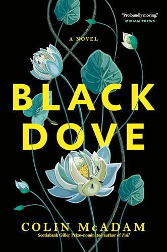 Black Dove view 2