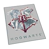 Herding Alfombra Harry Potter, aprox. 100 x 120 cm, 100% poliamida, gris (6474401171521)
