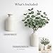 qztavyni Artificial Eucalyptus Stems with White Matte Ceramic Vase, 4 Pcs Faux Eucalyptus Leaves Arrangement, 15 Inch Tall Tabletop Greenery for Farmhouse Centerpiece, Shelf and Entryway Home Decor