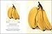 Fruit (An Abbeville Notecard Set): From the USDA Pomological Watercolor Collection