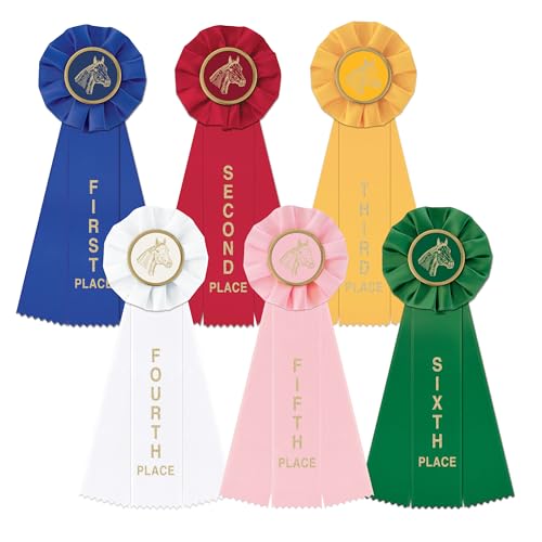 Hodges Badge Company Equestrian Rosette Award Ribbon Set - 1st- 6th - Made in USA
