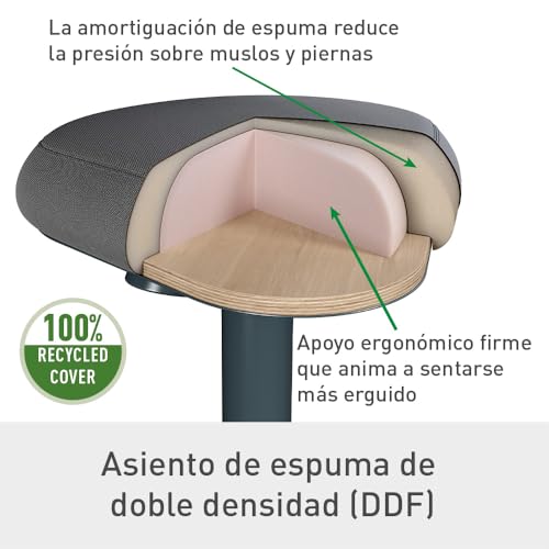 Miniatura 3 de Leitz 65450089 - Taburete Active Con Asiento Comfort Ergo, Altura Ajustable 57-82 Cm, Base Oscilante Antideslizante, Asa De Transporte, Funda 100 Reciclada, Color Gris Oscuro