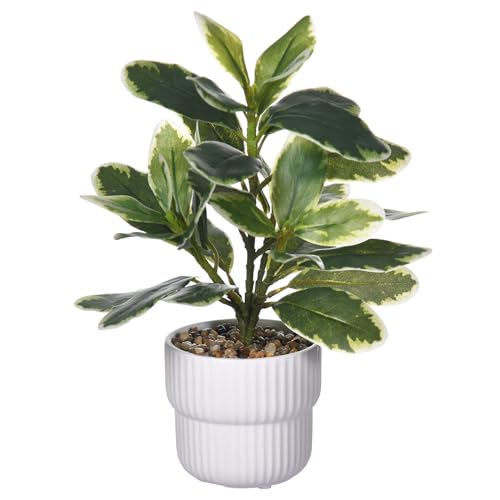 WishTip Artificial Potted Rubber Plant with White Ceramic Pot Variegated Rubber Tree for Indoor Office Bathroom Home Décor