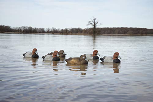 Higdon Outdoors Standard Red Head Duck Decoys, Foam-Filled - Thumbnail 2