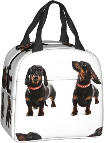 保冷ランチバッグ 保冷買い物カゴ用バッグ トート型 かわいいダックスフントの犬のパターン 保温バッグ 保温 耐衝撃 防水 漏れ防止 ハンドバッグ、ベントホルダー、クーラーボックス、エコバッグ、スタイリッシュ、軽量、ショッピングバッグ