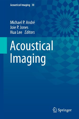 Acoustical Imaging: Volume 30 view 2