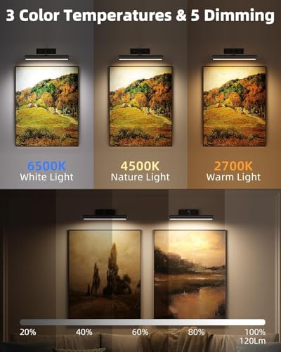Image of EZVALO 13 Inch Wireless Picture Lights, 4000mAh Rechargeable Battery RGB Colors Lights with Remote, Dimmable 3 Color Temps LED Painting Lights for Living Room, Bedroom (Black, 2Pack)
