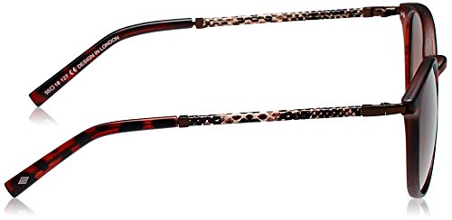 Image of Lee Cooper Round Sunglasses (Multicolor) (LC9057FOBDA|55)