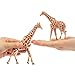 Toymany 4PCS Realistic Giraffe Figurines with Giraffe Cub, 2-6
