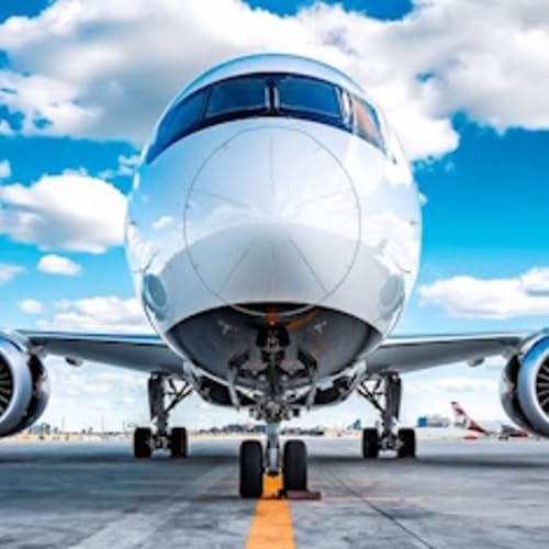 ENGLISH The fear of Flying (with Parkinson's)