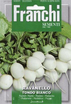 【FRANCHI社種子】【112/2】ラディッシュ TONDA BIANCO