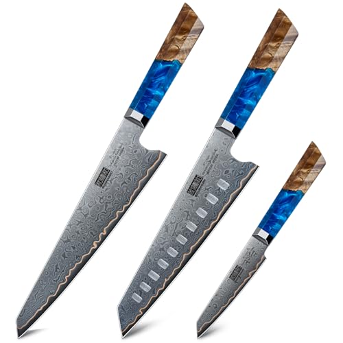 HOSHANHO Damascus 3 Pieces Knife Set, Professional 67-Layer Damascus Steel