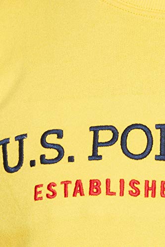 Image of U.S. POLO ASSN. Men Knitwear