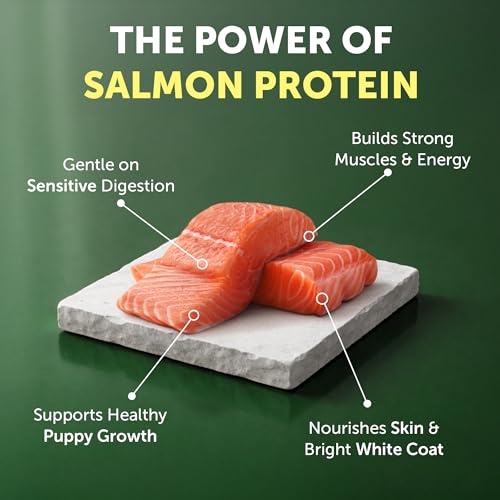 Image of Nature's Protection Superior Care Grain-Free Puppy Dry Food, Salmon 22lb