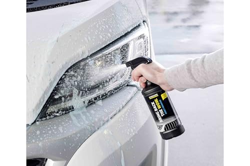 Kärcher Insektenentferner RM 618 (500 ml) für die schonende Reinigung von Fahrzeugen