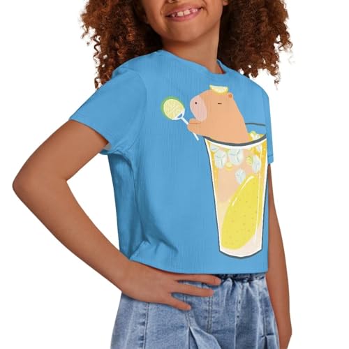 Image of Girls Crop Tees Crew Neck Casual Short Sleeve T Shirts Kids Loose Soft Comfortable Tees Blouses Shirt for Little Girl
