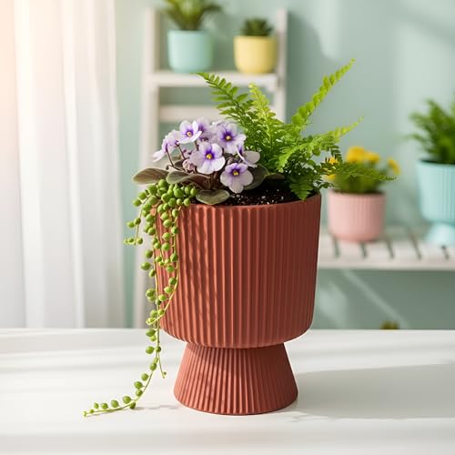Image of Xtore Bold Pedestal Ceramic Planter Pot for Indoor Plants | Ribbed Elevated Flower Pot for Home, Office Desk & Balcony Decor (Terracotta Red - Planter only)