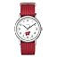 Wisconsin Badgers
