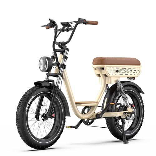 Bicicleta eléctrica para Adultos W77, Motor sin escobillas de 48 V con batería de Litio de 18 Ah, neumáticos Gruesos de 20 x 4,0 Pulgadas para...