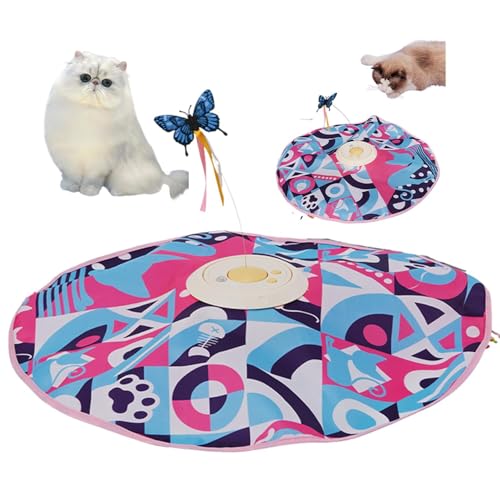 Lifetips GL]`bNOwA Exotic Longhair d  L炵  lV USB[d 65[h Ht mߋ p É݌v _] ^C}[ Ή ԈS ^s XgX 