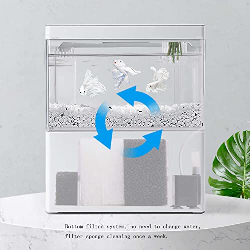 Carefree Fish Desk Top Usb Small Fish Tank Automatic Led Light Office 1 Gallon Betta Aquarium No Need To Replace Water #TOP4