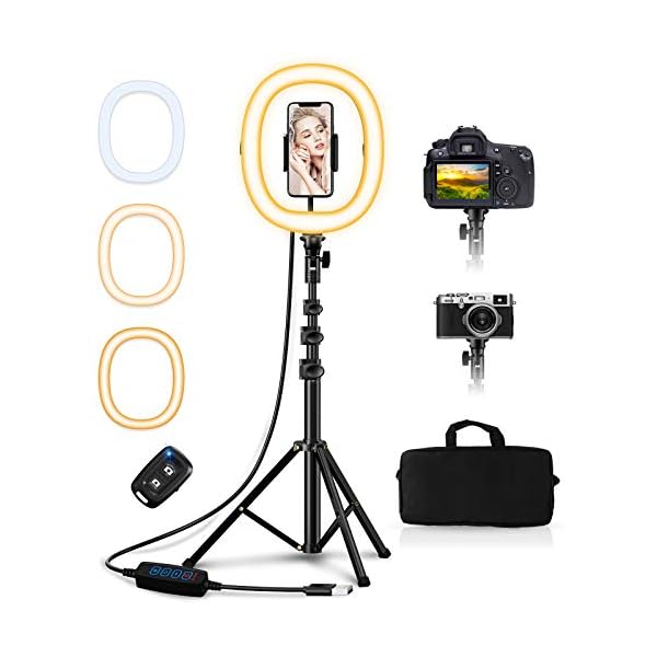 Babacom 10,2" Ringlicht mit Stativ und Handyhalter, Tragbare Faltbare Ringleuchte mit Tasche & Fernbedienung, 3 Farbe & 10 Helligkeitsstufen, 0,45-1,27M Kamera Stativ für YouTube/Facebook/Vlog