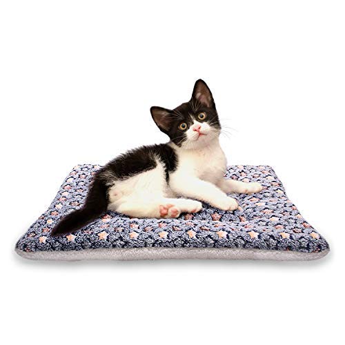 Chien Chat Couvertures Animal de Compagnie Duveteux Toison Tapis Doux Coussin Tampon pour Puppy Kitten Motif étoile Cover