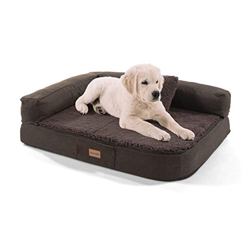brunolie Odin Hundebett Hundesofa, waschbar, orthopädisch und rutschfest, Hundekissen mit Abnehmbarer Lehne, hundekorb, Größe S 80x60 cm