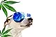 mein herz Hanf Globuli aus Liebe zu ihrem Hund Natürliche Hilfe bei Unruhe, Angst, Schmerz, und Zellaufbau, bioenergetisch/radionisch mit Hanf informiert.