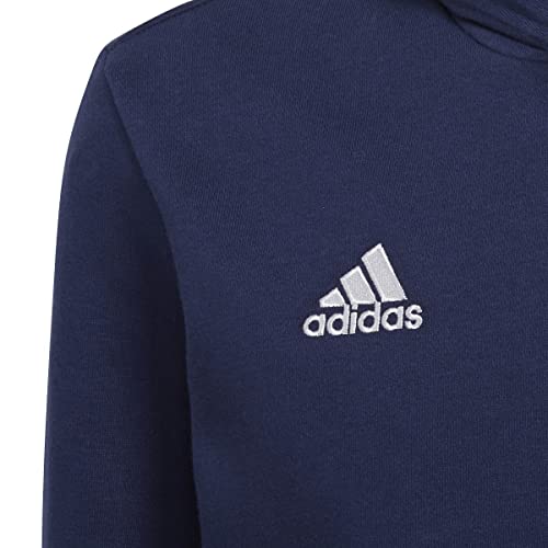 adidas Mixte enfant Ent22 Hoody Y HOODED SWEAT, Tenabl, 164 EU