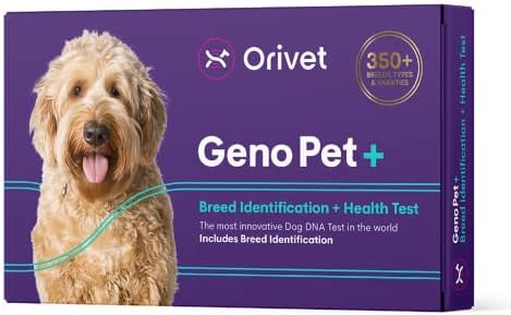 ORIVET Dog DNA Test | Comprehensive Dog Breed Test Kit, Genetic Testing and Life Plan GenoPet+ for Canines