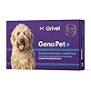 Orivet Dog DNA Test Comprehensive Dog Breed Test Kit Genetic Testing and Life Plan GenoPet for Canines