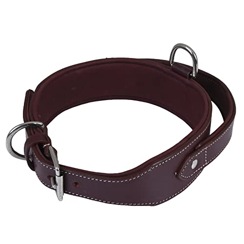 DowgClub, Cherry, XL (Fit Neck Size 22"-26") - Image 2