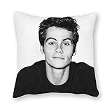 obrienandolive Perfekt für Sofa, Bett, Couch, Auto, Stuhl und Erkerfenster. Kann auch als Geschenk verwendet werden.