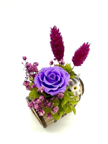 花冠seina プリザーブドフラワー ミニ 猫ちゃん 友膳 ポッド プレゼント フラワーアレンジメント 枯れないバラ 花 インテリア置物 (パープル（横）) [3]