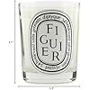 Diptyque Figuier Candle, 1 Count