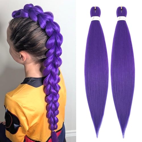 Abrastin Purple Braiding Hair 20 Inch Pre Stretched Braiding Hair Extensions 2 Packs Long Synthetic Crochet Hair Twist Braids for Stage Party Halloween Costume Cosplay