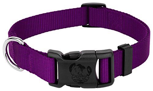 Country Brook Petz Hundehalsband, Nylon, mit Schnalle, hergestellt in Amerika, Größe XL, 2,5 cm breit, Violett-9