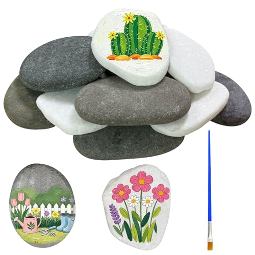 Noviatrix 12 Pièces 5-8 cm Galets a Peindre, DIY Galets Decoratifs Jardin, Galet Blanc, pour la Décoration de Pots de Fleurs, D'aquariums e de Jardins (Blanc, Gris)