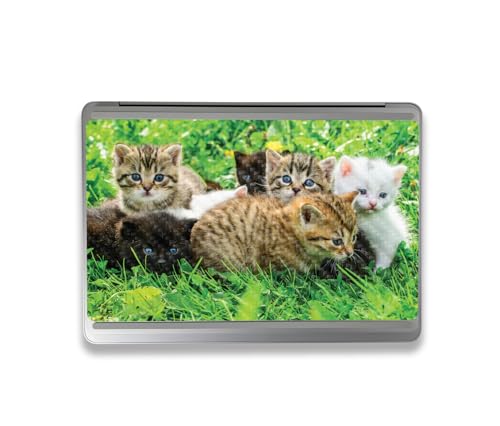 Image of MightySkins Carbon Fiber Skin Compatible with Microsoft Surface Laptop Studio 2 (2023) Full Wrap Kit - Field of Kittens | Protective, Durable Textured Carbon Fiber Finish | Made in The USA