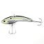 Sexy Shad
