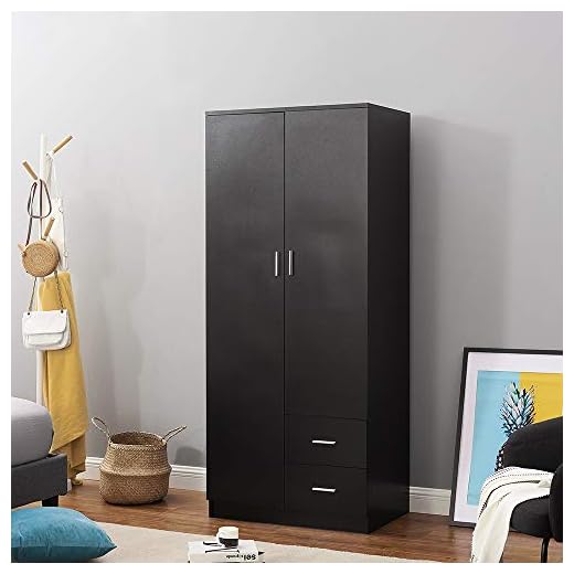 Wooden 2 Door 2 Drawer Wardrobe with Shelf and Hanging Rail Modern Clothes Storage Cupboards Unit for Bedroom Furniture W 77 * D 50 * H 180cm (Black)