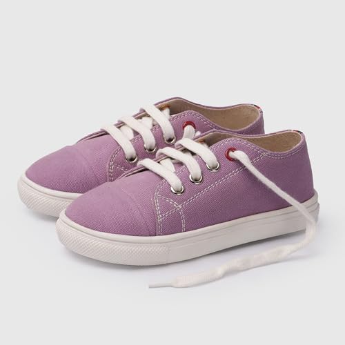 Image of toothless Canvas Shoes | Lace-Up Closure | Durable Canvas Upper | Cushioned Sole | Everyday Casual Wear for Kids