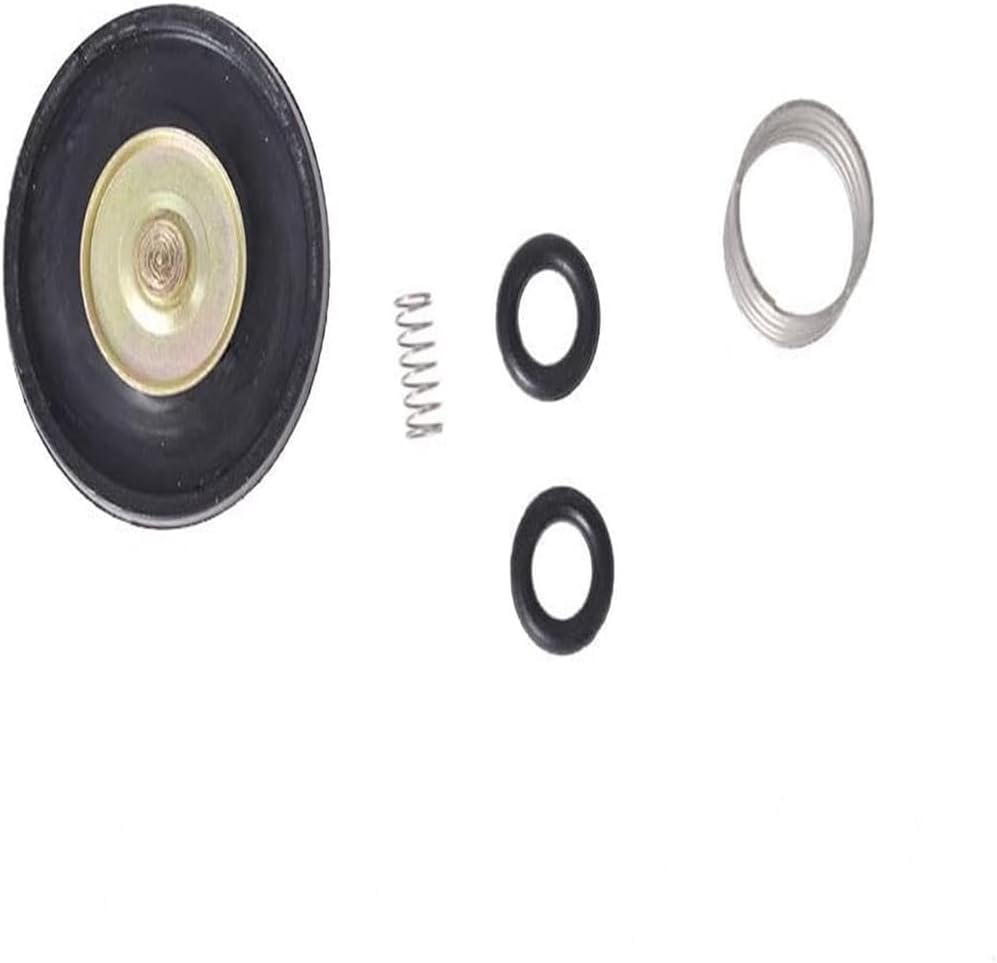 Genuine NEW Accelerator Pump Rebuild Kit For & G Carburetor OEM Replacement