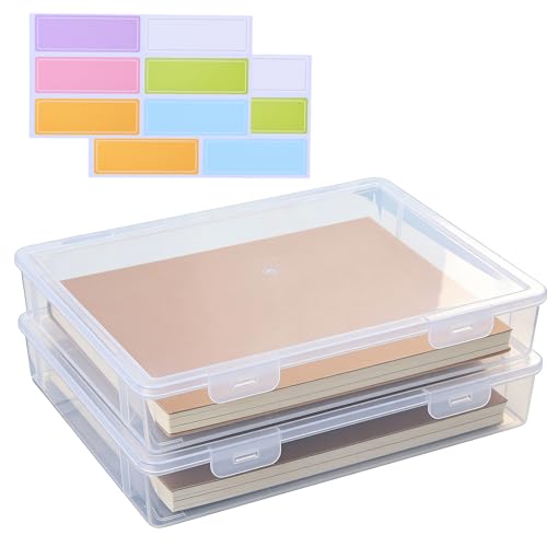 Astralong 2 Piezas Cajas de Almacenamiento Transparentes A4 con Tapa, Apilables, Caja de Plástico para Documentos, Revistas, Papeles, Fotos y Material de Oficina o Hogar, 31 x 22 x 5 cm