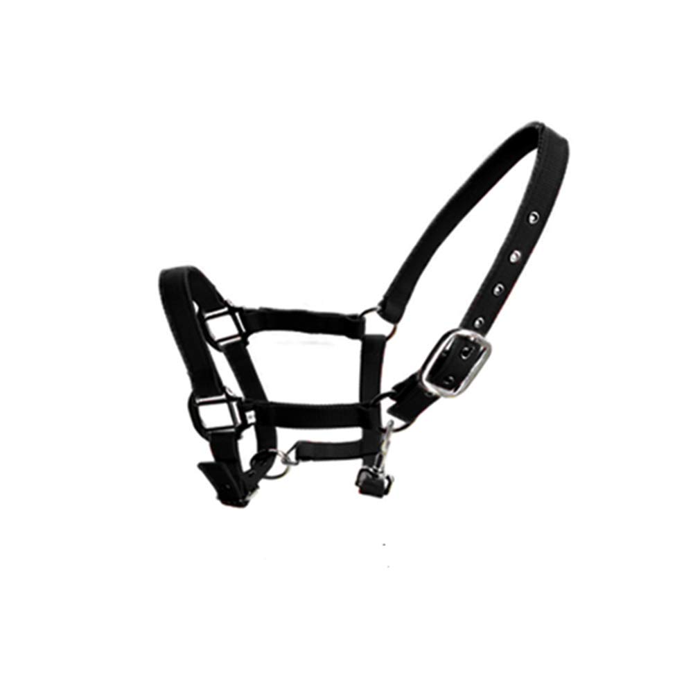 SagaSave Horse Nylon Headcollar Equestrian Padded Headcollar Adjustable Nose And Buckle Closure With Chin Up Clip, Black-Large