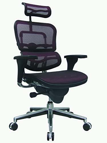 Image of Ergohuman Eurotech Seating High Back Mesh Managers Chair, Plum Red