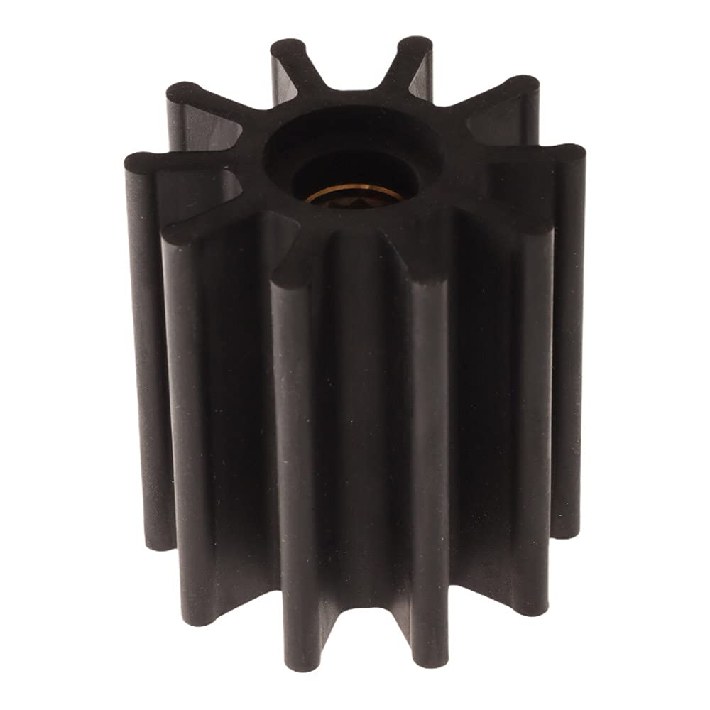 Pompe pour Moteur Albin Pump 06-02-022 Haute Résistance - 4